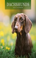 DACHSHUNDS 2023 SQUARE WALL CALENDAR