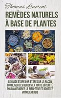 Remèdes Naturels à Base de Plantes