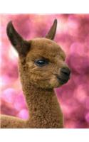 Notebook: Alpaca Cover - Full Size Lined Journal - Composition Book - 8.5 X 11 Paper - Wide Ruled - 100 Pages