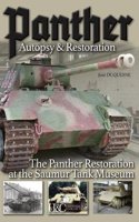 Panther: Autopsy and Restoration