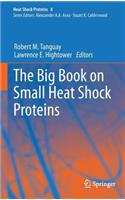 Big Book on Small Heat Shock Proteins