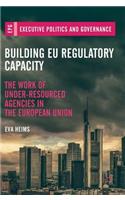 Building EU Regulatory Capacity: The Work of Under-Resourced Agencies in the European Union(Executive Politics and Governance)
