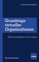 Grundzuge virtueller Organisationen