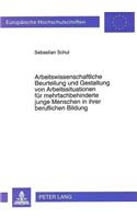Arbeitswissenschaftliche Beurteilung Und Gestaltung Von Arbeitssituationen Fuer Mehrfachbehinderte Junge Menschen in Ihrer Beruflichen Bildung