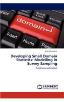 Developing Small Domain Statistics