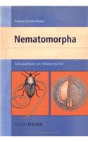 Nematomorpha