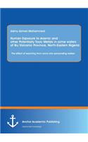 Human Exposure to Arsenic and Other Potentially Toxic Metals in Some Waters of Biu Volcanic Province, North-Eastern Nigeria