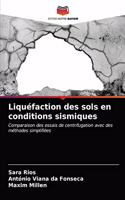 Liquéfaction des sols en conditions sismiques