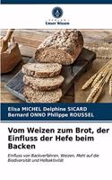 Vom Weizen zum Brot, der Einfluss der Hefe beim Backen