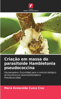 Criação em massa do parasitoide Hambletonia pseudococcina