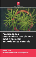 Propriedades terapêuticas das plantas medicinais com antioxidantes naturais