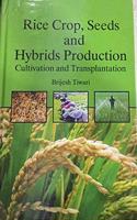 Rice Crop, Seeds and Hybrids Production: Cultivation and Transplantation