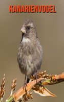 Kanarienvogel