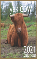 yak cow: 2021 Wall & Office Calendar, 12 Month Calendar