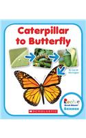 Caterpillar to Butterfly (Rookie Read-About Science: Life Cycles)