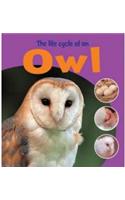 Learning About Life Cycles: The Life Cycle of an Owl