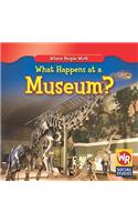 What Happens at a Museum?