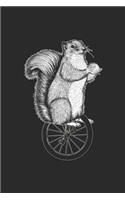 Squirrel Unicycle