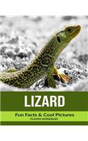 Lizard