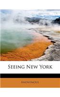 Seeing New York