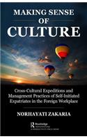 Making Sense of Culture