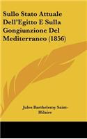 Sullo Stato Attuale Dell'egitto E Sulla Gongiunzione del Mediterraneo (1856)
