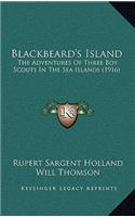 Blackbeard's Island: The Adventures Of Three Boy Scouts In The Sea Islands (1916)(English)