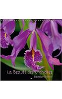 La Beaute Des Orchidees 2018