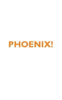 PHOENIX! Affirmations Notebook & Diary Positive Affirmations Workbook Includes