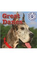 Great Danes