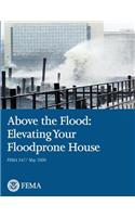 Above the Flood