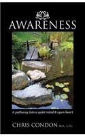 Awareness