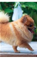 Pomeranian August Notebook Pomeranian Record, Log, Diary, Special Memories, To Do List, Academic Notepad, Scrapbook & More