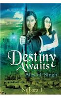 Destiny Awaits: The Past Will Meet Its Present...