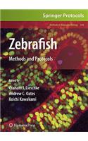 Zebrafish