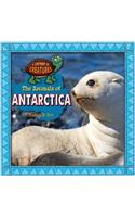 The Animals of Antarctica