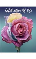 Celebration Of Life