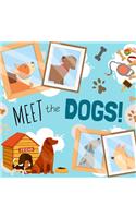 Meet The Dogs!