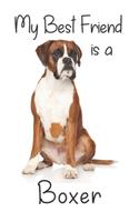 My best Friend is a Boxer