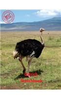Ostrich Sketchbook