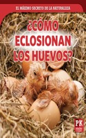 ¿Cómo Eclosionan Los Huevos? (How Eggs Hatch): (El Máximo Secreto de la Naturaleza (Top-Secret Nature))