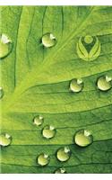 Dew Drop Leaf 2 Notebook: Blank Journal Diary Log