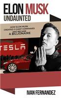 Elon Musk Undaunted: How Elon Musk Created 3 Giant Companies And Became A Billionaire