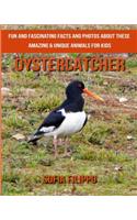 Oystercatcher