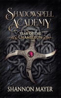 Shadowspell Academy