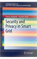 Security and Privacy in Smart Grid