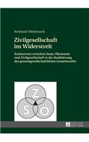 Zivilgesellschaft Im Widerstreit