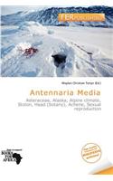 Antennaria Media: (English)