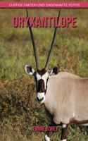 Oryxantilope
