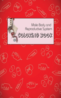 Male Body and Reproductive System Coloring Book: anatomy and physiology coloring book for adults, College and Medical students